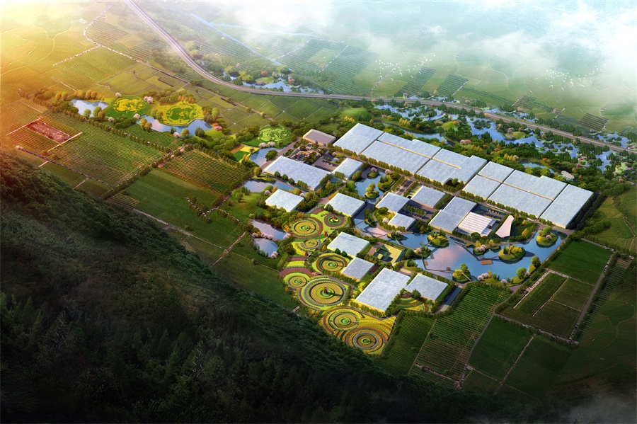 麗江現(xiàn)代花卉產(chǎn)業(yè)園項(xiàng)目鳥(niǎo)瞰圖.jpg